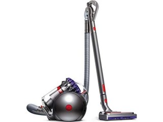Dyson Big Ball Parket 2