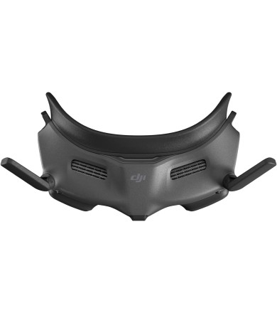 DJI GOGGLES 2