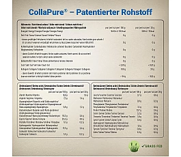 Wehle Sports Collagen Powder 500 g – hydrolyzovaný kolagen typu I, II a III bez příchuti